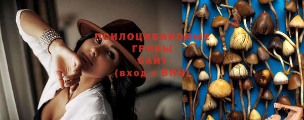 ГАЛЛЮЦИНОГЕННЫЕ ГРИБЫ Бронницы