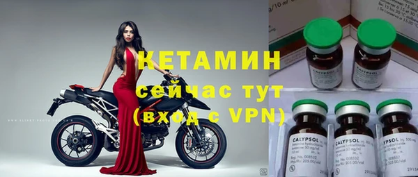 дживик Бородино
