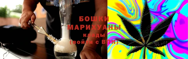 дживик Бородино