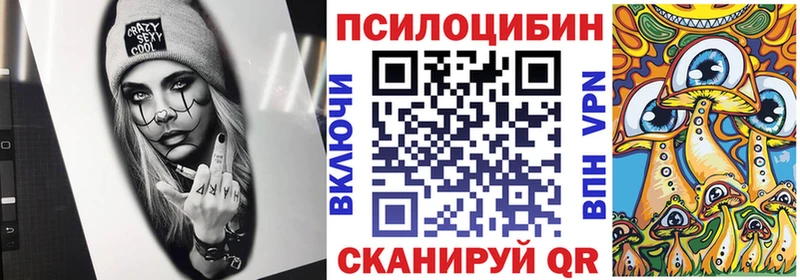 Псилоцибиновые грибы GOLDEN TEACHER Мещовск