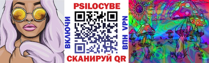 Галлюциногенные грибы Psilocybe Мещовск